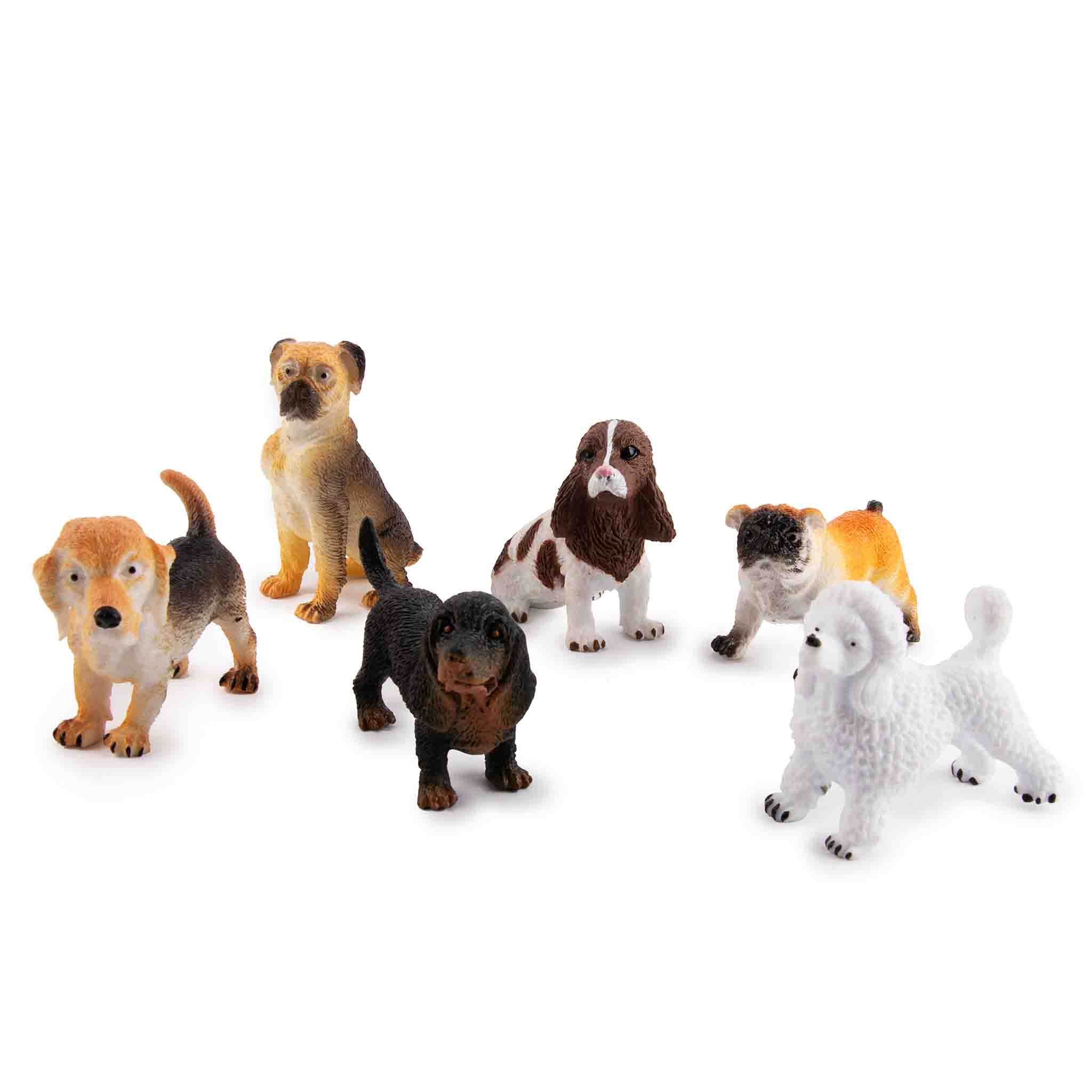 8481fe9ea38ca0703d22ff59f61c8690e85fb581_19705_01